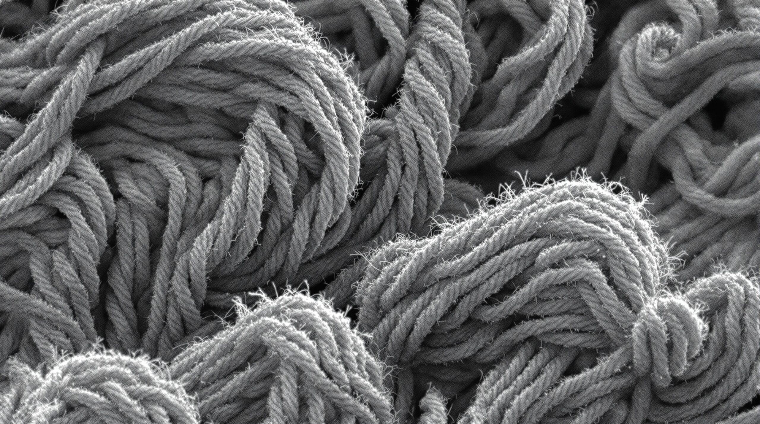 Traditional Bonded Fleece